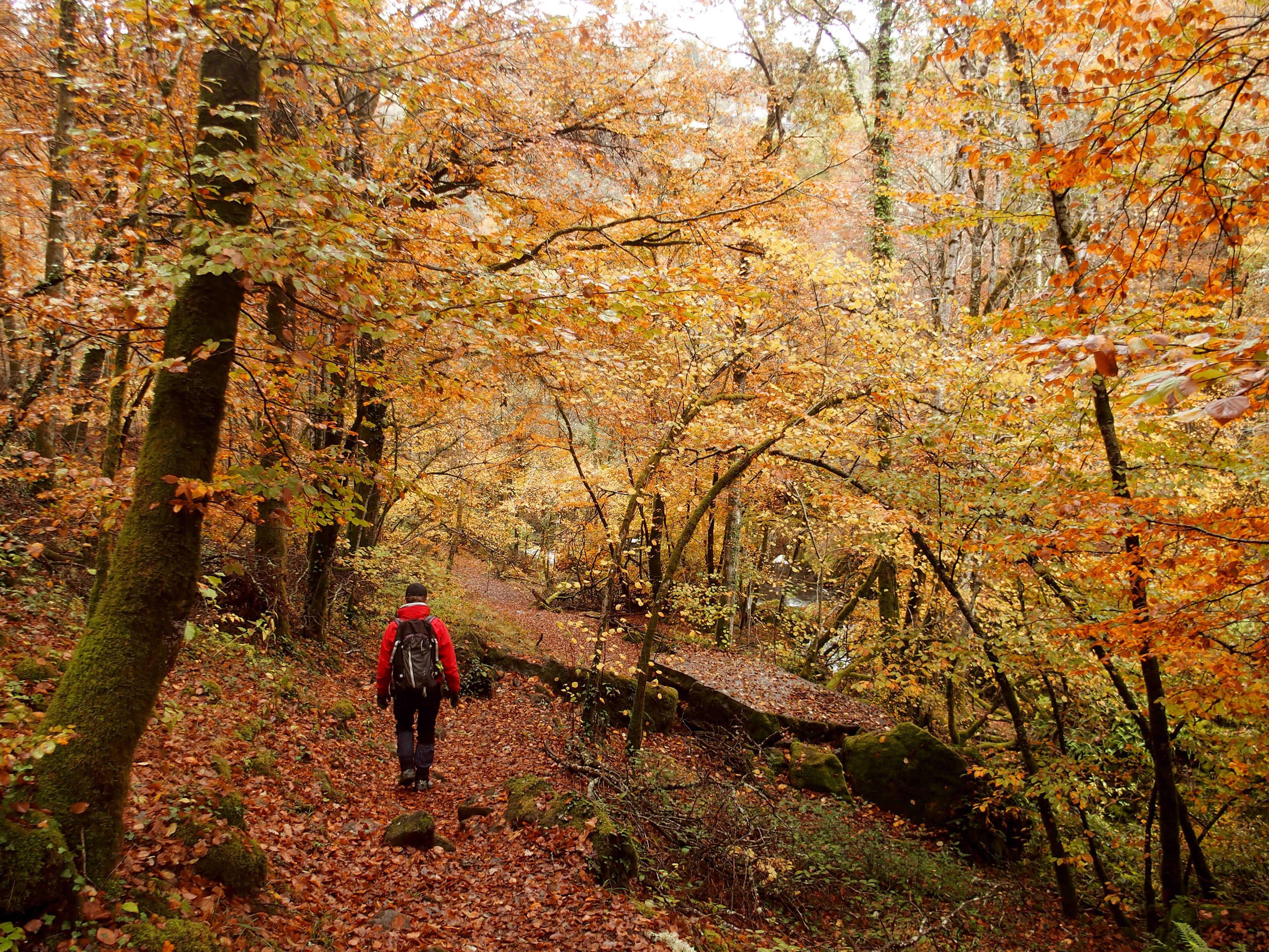 L'automne en Pays de Salers